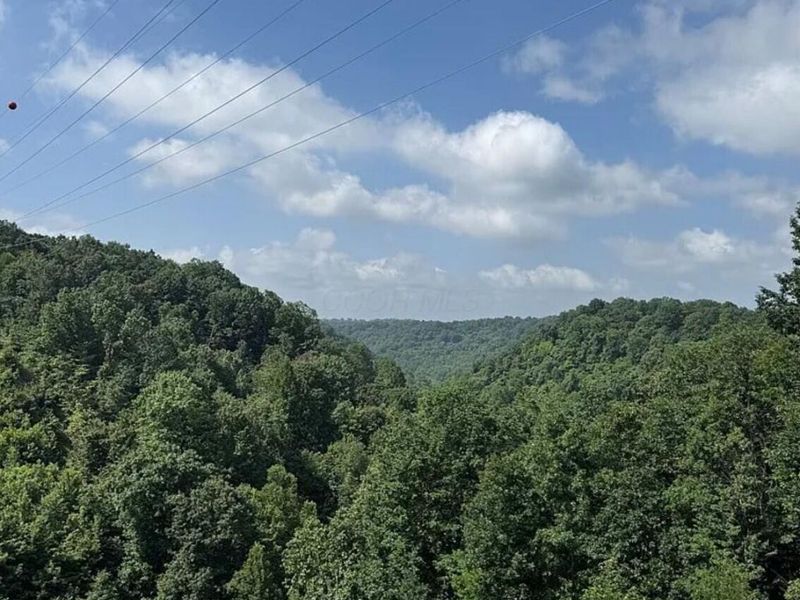 0 Hinkley Hollow Rd, Portsmouth, OH 45662 Photo 39