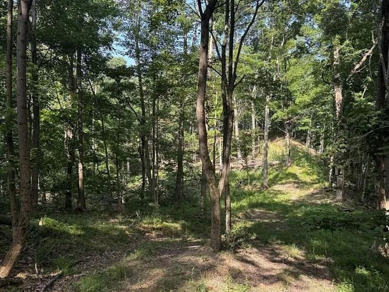 0 Hinkley Hollow Rd, Portsmouth, OH 45662 Photo 42
