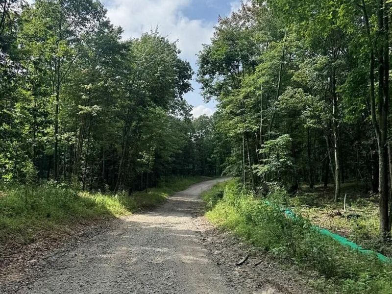 0 Hinkley Hollow Rd, Portsmouth, OH 45662 Photo 48