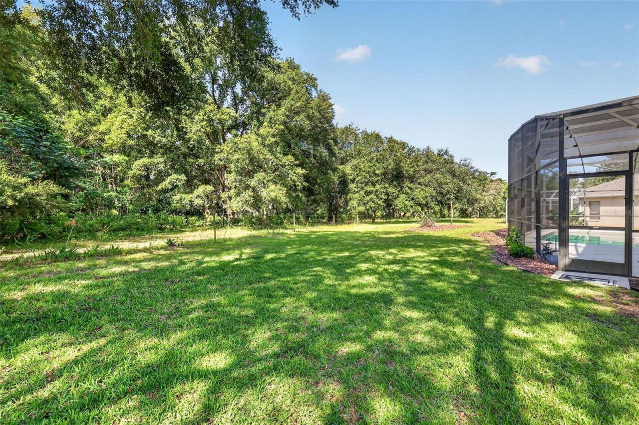 20606 Queen Alexandra Drive , Leesburg, FL 34748 Photo