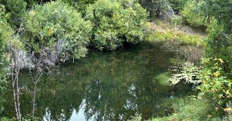 1468 12 Mile Bar Road, Twain, CA 95984 Photo