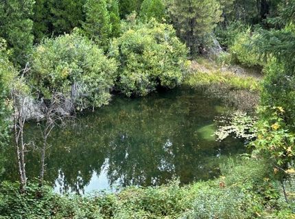 1468 12 Mile Bar Road, Twain, CA 95984 Photo