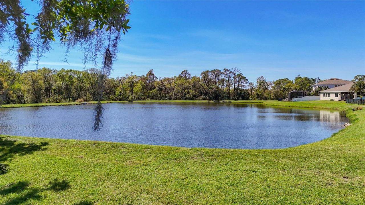 15208 Las Olas Place, Bradenton, FL 34212 Photo