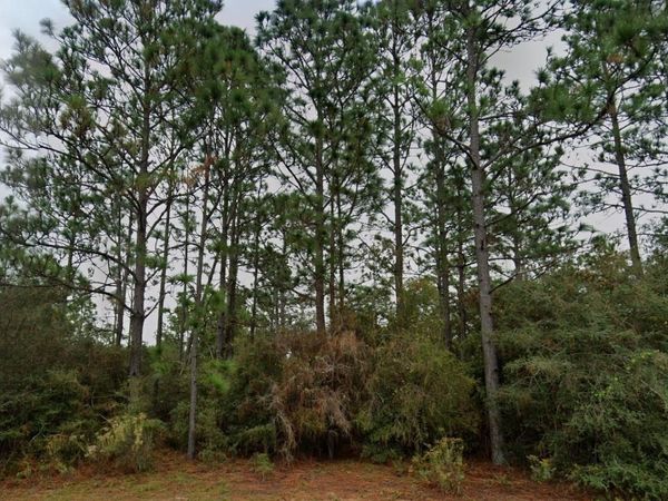 DELTONA BOULEVARD , CHIPLEY, FL 32428