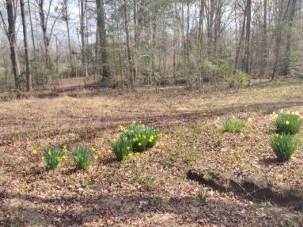 465 Huse Watson Rd, Oakdale, TN 37829