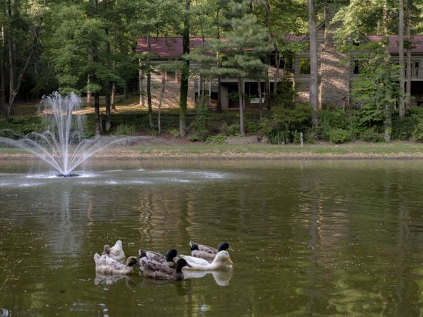 7348 Bradford Rd , Primm Springs, TN 38476