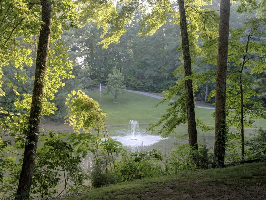 Property Image 38