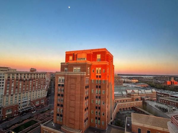 2181 JAMIESON AVENUE, Unit 1905, ALEXANDRIA, VA 22314
