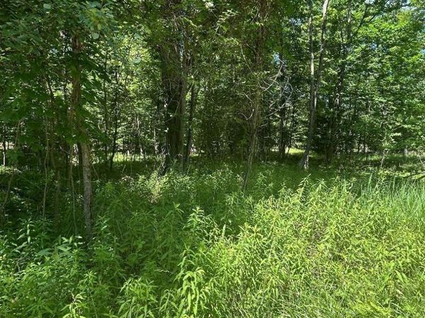 Point Lookout Road S, Au Gres, MI 48703