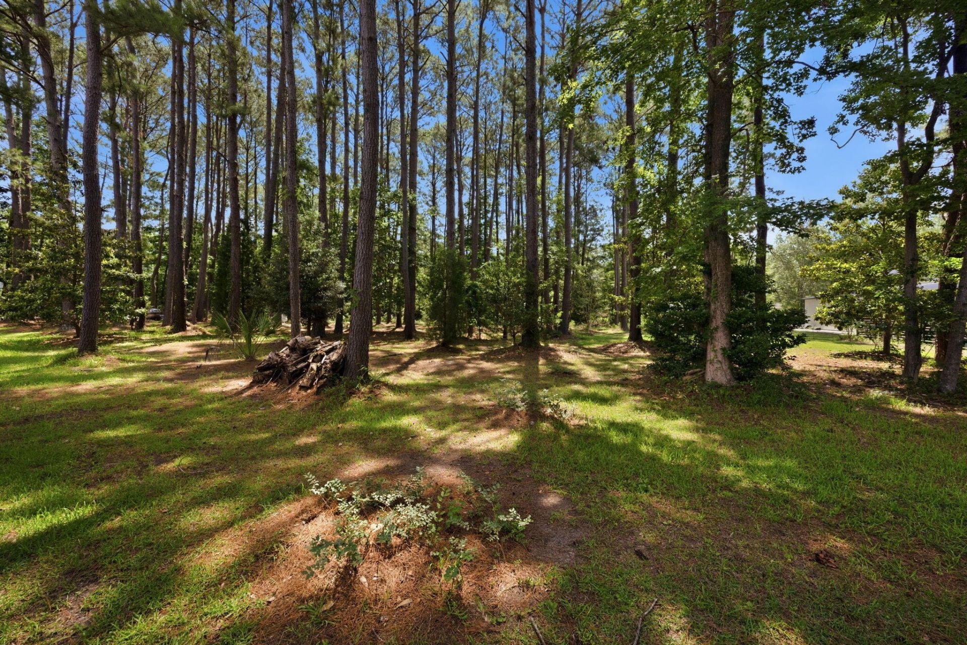 2981 Bennett Charles Road Photo 45