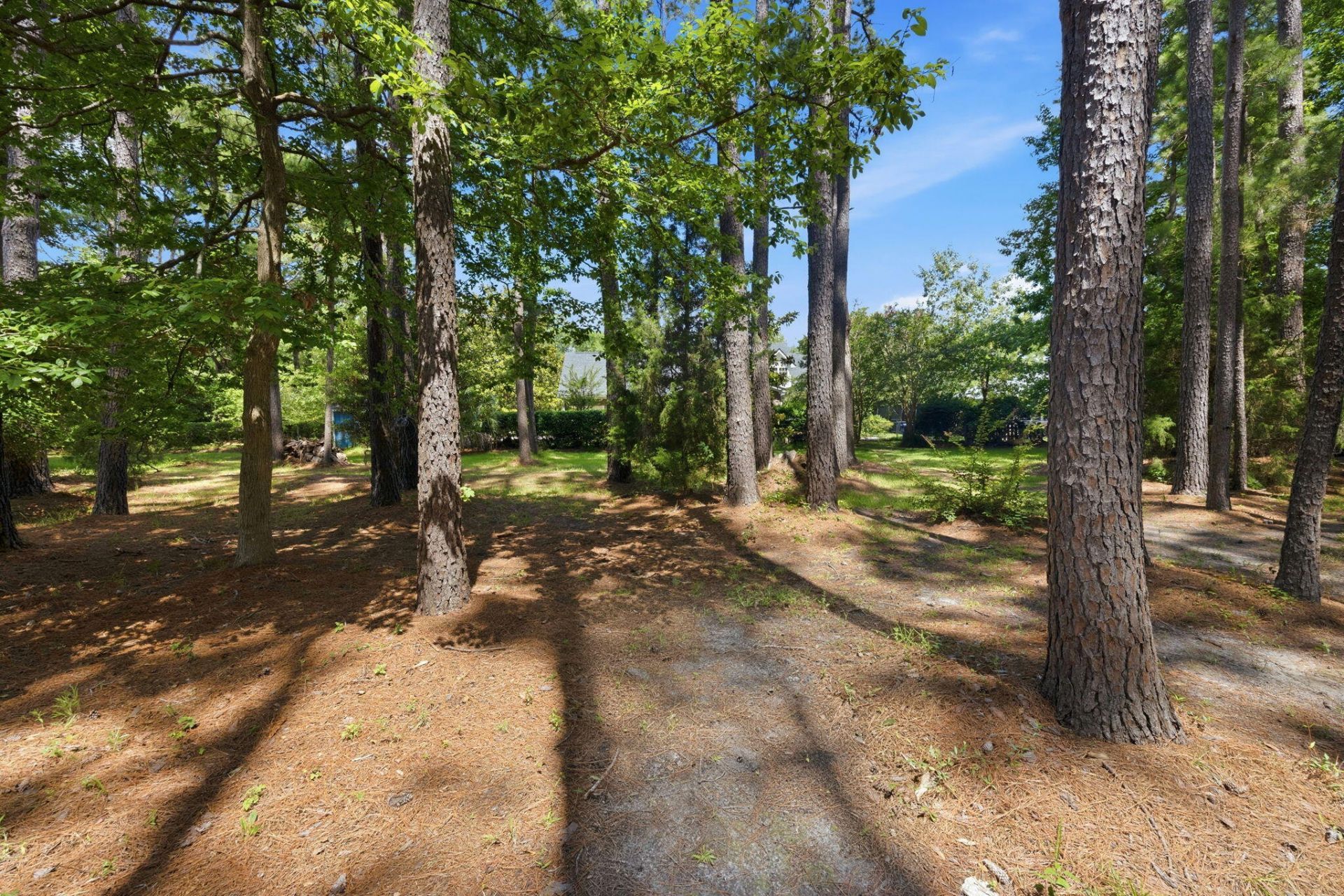 2981 Bennett Charles Road Photo 48