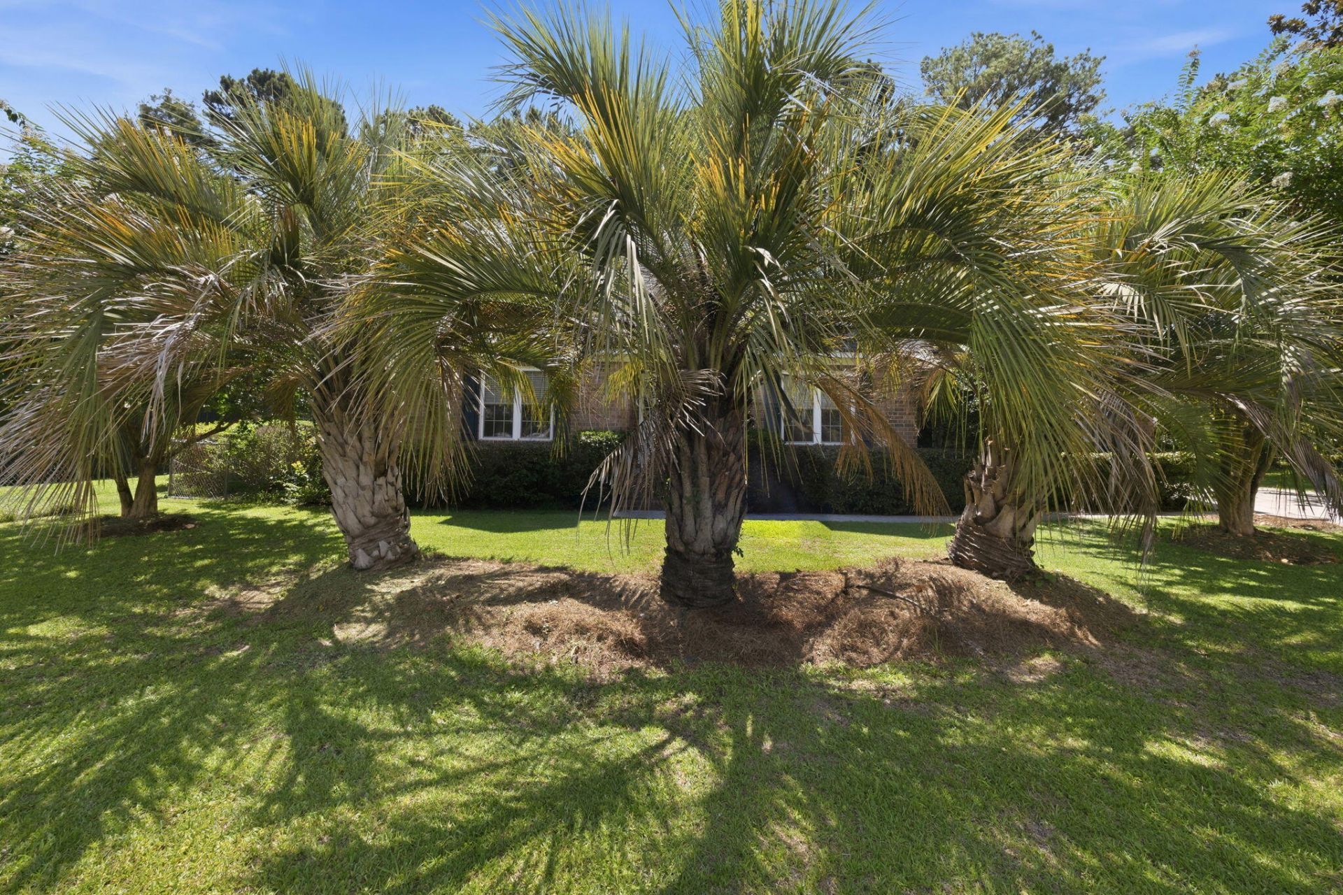 2981 Bennett Charles Road Photo 57