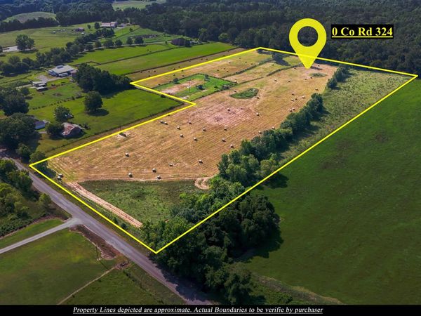 17 ACRES County Road 324, Moulton, AL 35650