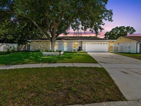 16205 SAWGRASS CIRCLE , TAMPA, FL 33624