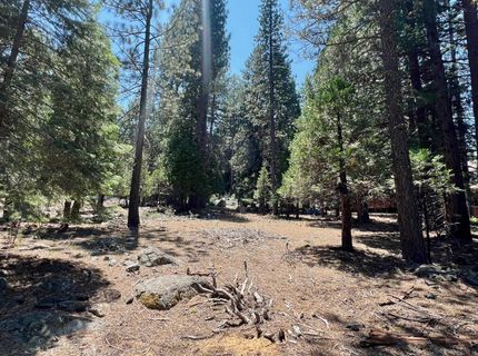 83 Paiute Trail, Graeagle, CA 96103 Photo
