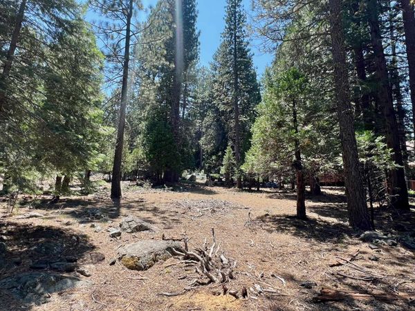 83 Paiute Trail, Graeagle, CA 96103