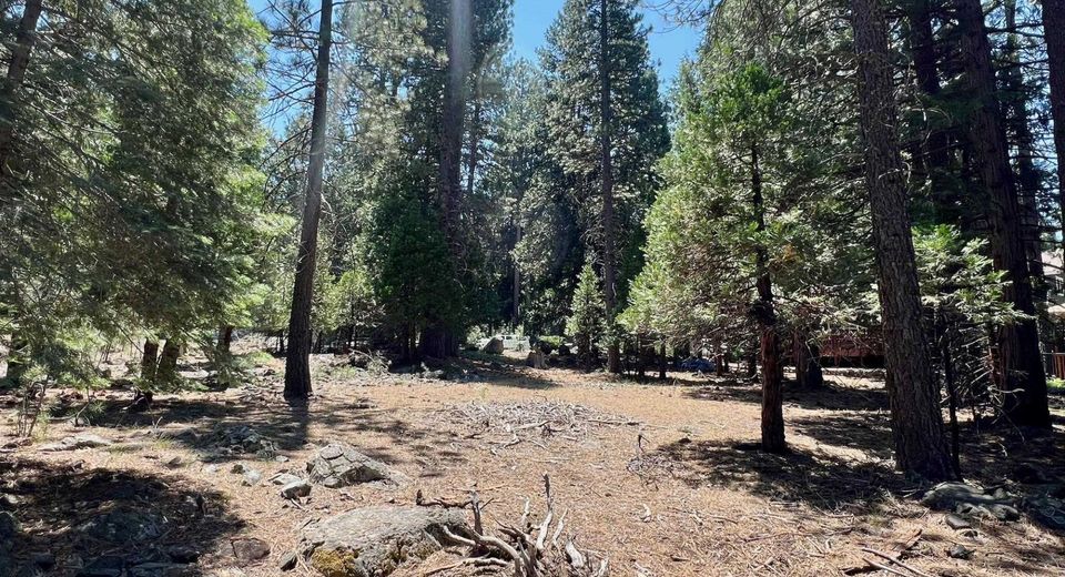 83 Paiute Trail, Graeagle, CA 96103 Photo