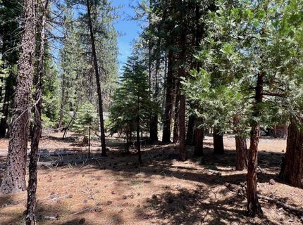 83 Paiute Trail, Graeagle, CA 96103 Photo