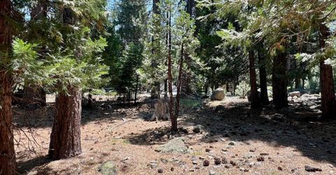 83 Paiute Trail, Graeagle, CA 96103 Photo