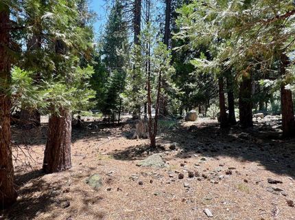 83 Paiute Trail, Graeagle, CA 96103 Photo