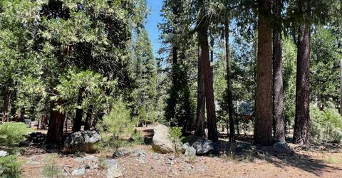 83 Paiute Trail, Graeagle, CA 96103 Photo