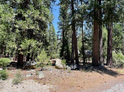 83 Paiute Trail, Graeagle, CA 96103 Photo