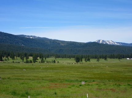 83 Paiute Trail, Graeagle, CA 96103 Photo