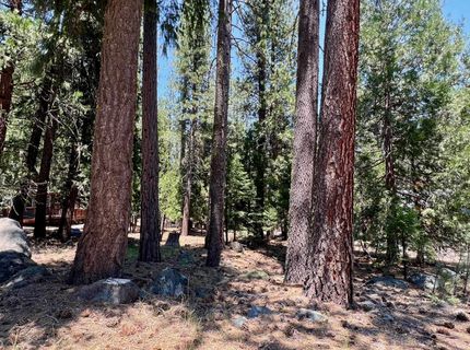 83 Paiute Trail, Graeagle, CA 96103 Photo