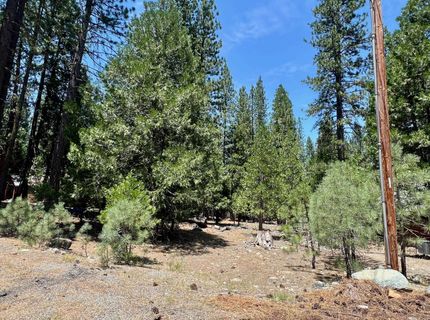 83 Paiute Trail, Graeagle, CA 96103 Photo