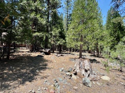 83 Paiute Trail, Graeagle, CA 96103 Photo