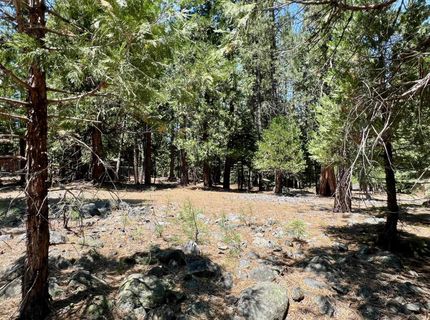 83 Paiute Trail, Graeagle, CA 96103 Photo