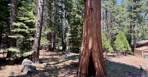 83 Paiute Trail, Graeagle, CA 96103 Photo