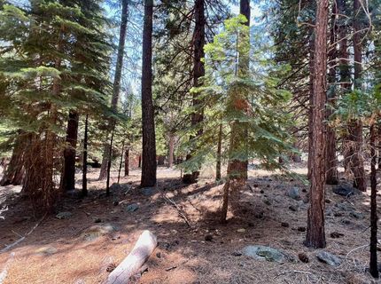 83 Paiute Trail, Graeagle, CA 96103 Photo