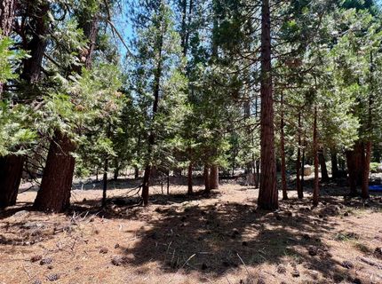 83 Paiute Trail, Graeagle, CA 96103 Photo