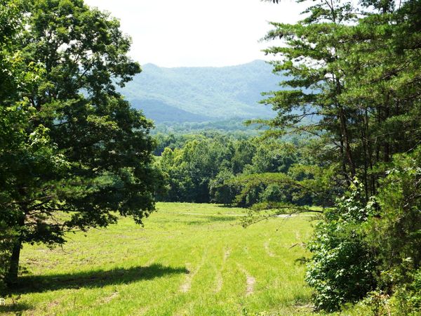 00 Rhyne Camp Road, Newport, TN 37821