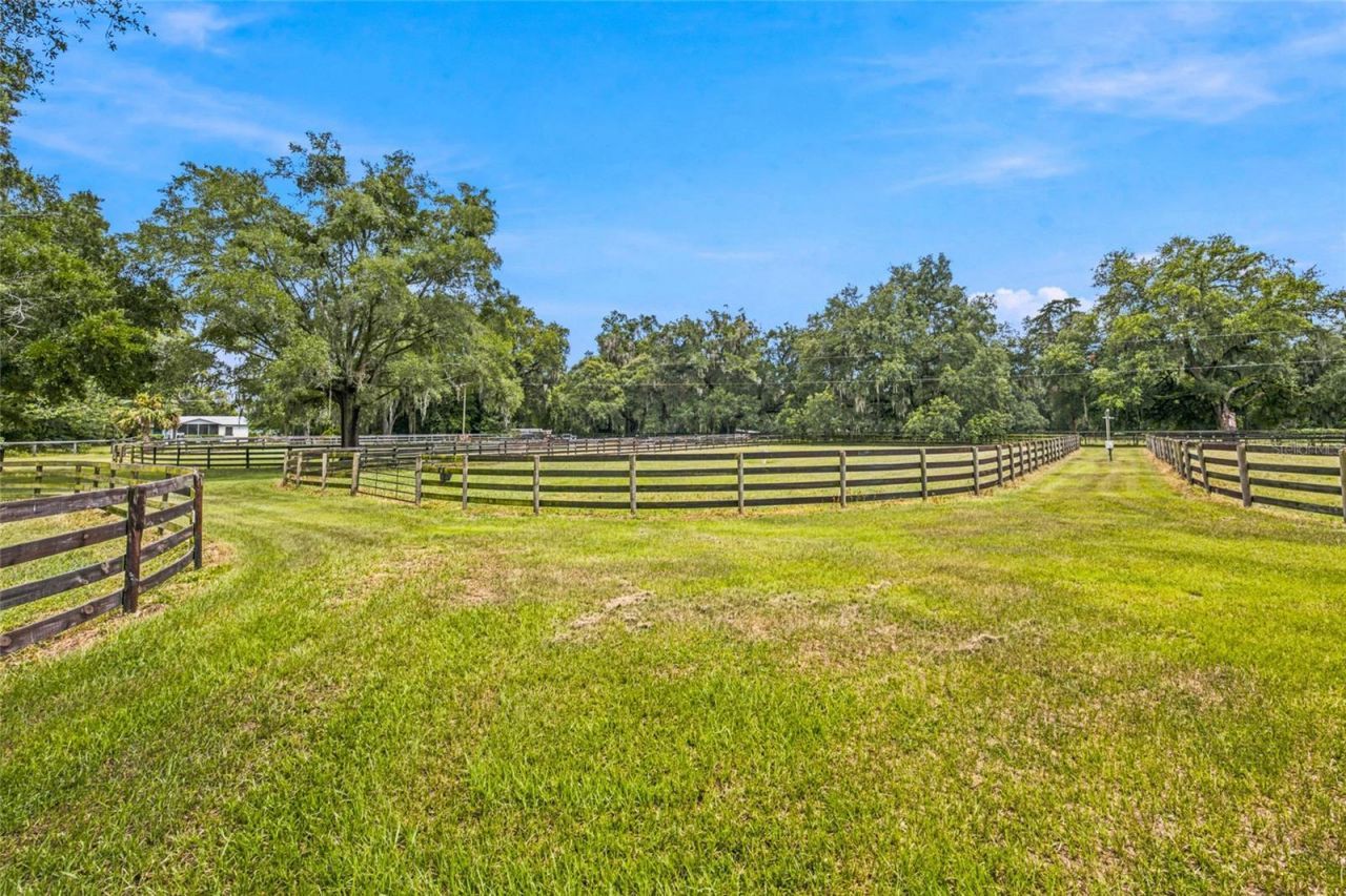 3825 NW 160th Street, Reddick, FL 32686 Photo