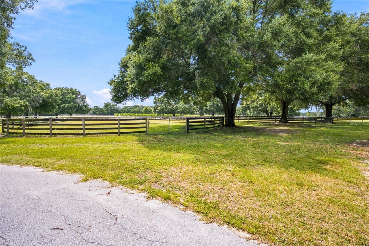 3825 NW 160th Street, Reddick, FL 32686 Photo