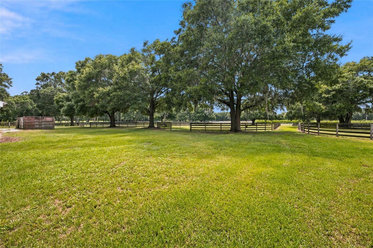 3825 NW 160th Street, Reddick, FL 32686 Photo