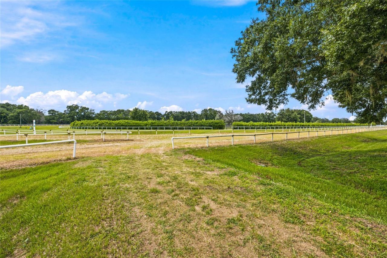 3825 NW 160th Street, Reddick, FL 32686 Photo