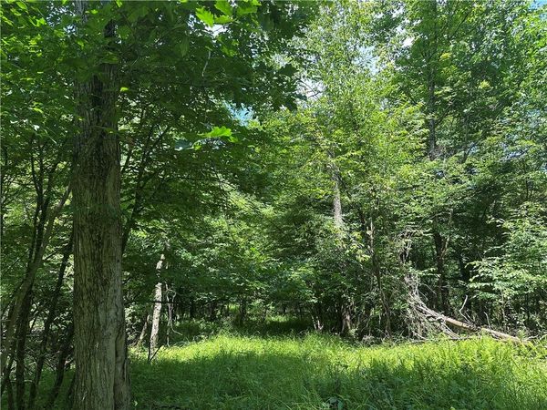 0 Cooperstown Rd, Franklin, PA 16323