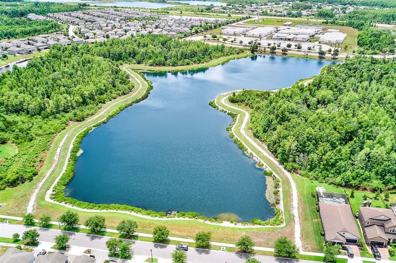 4976 Ballantrae Boulevard , Land O Lakes, FL 34638 Photo
