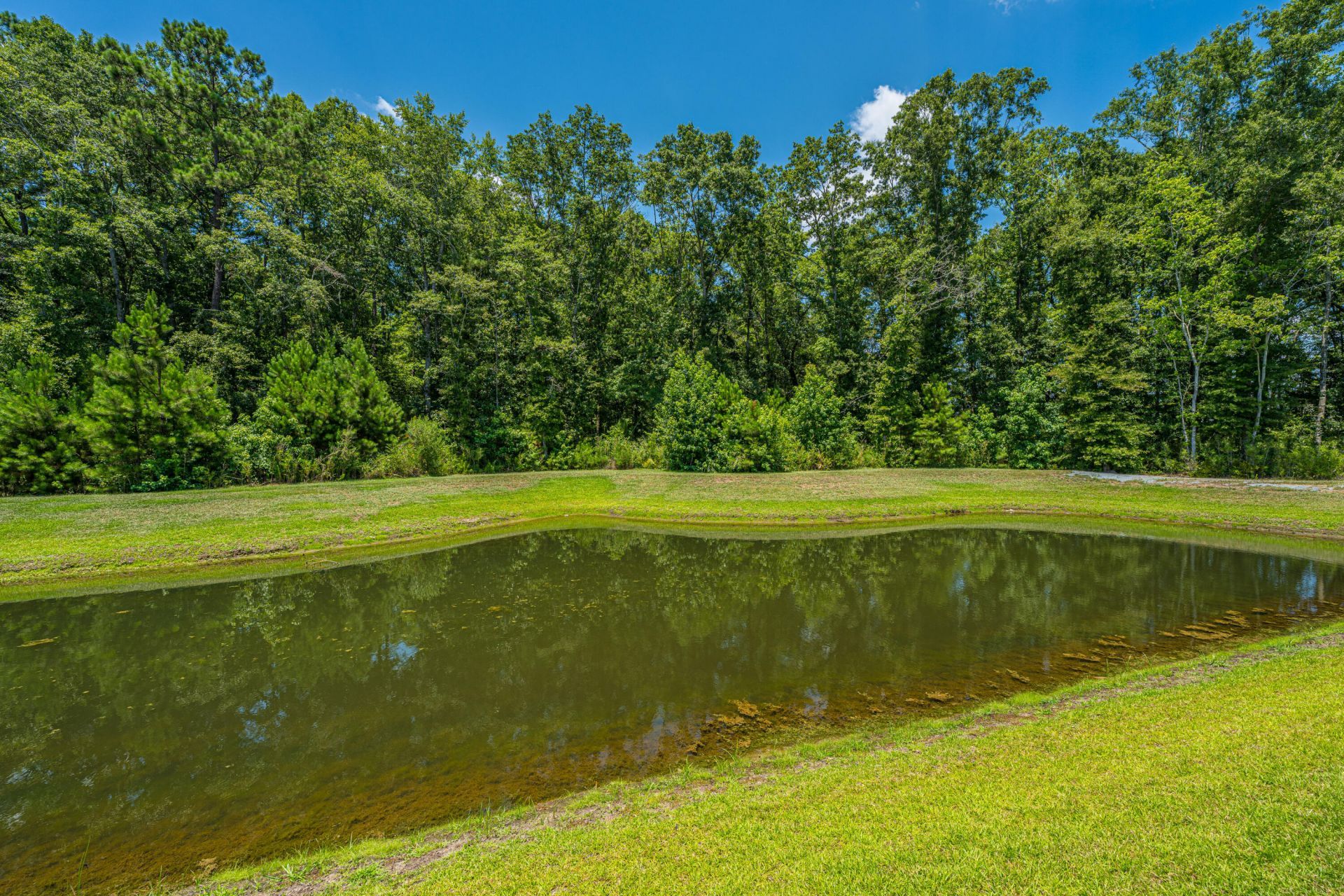 209 Omalley Drive Photo 61