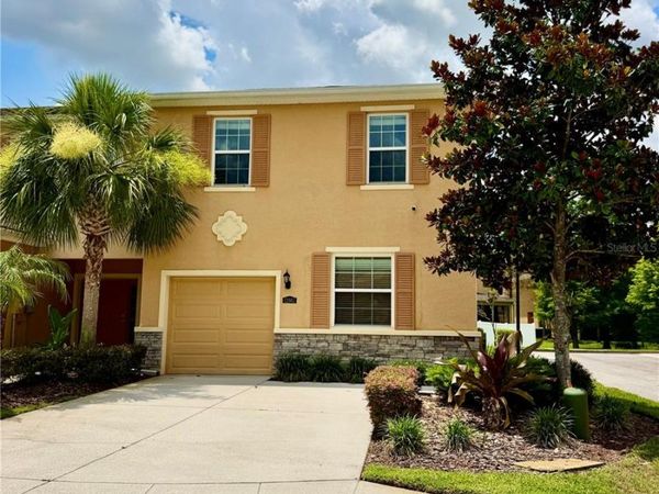 13961 RIVER WILLOW PLACE , TAMPA, FL 33637