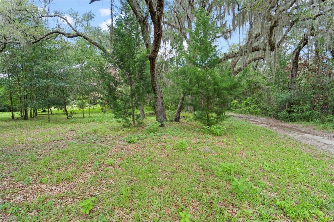 151 NE 164th Avenue, Williston, FL 32696 Photo