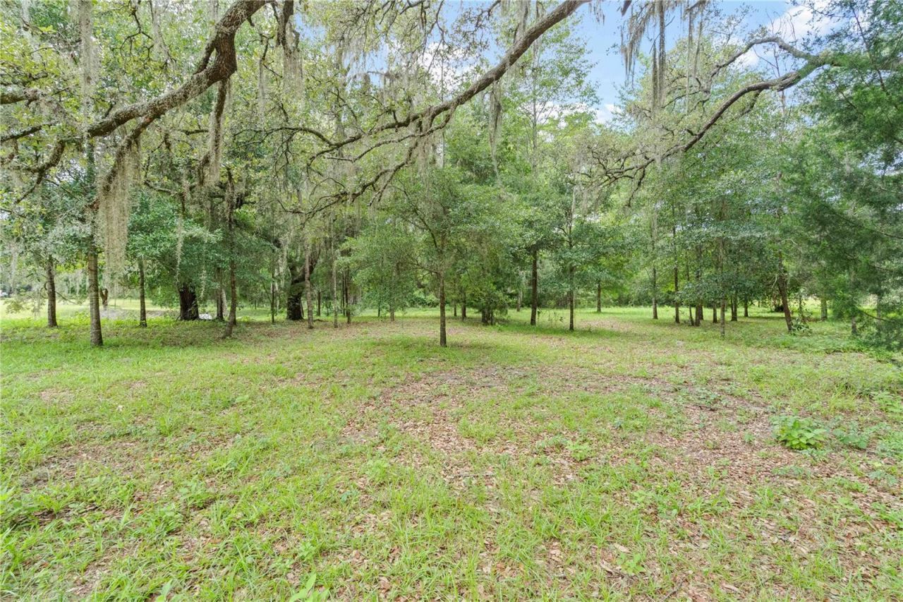 151 NE 164th Avenue, Williston, FL 32696 Photo