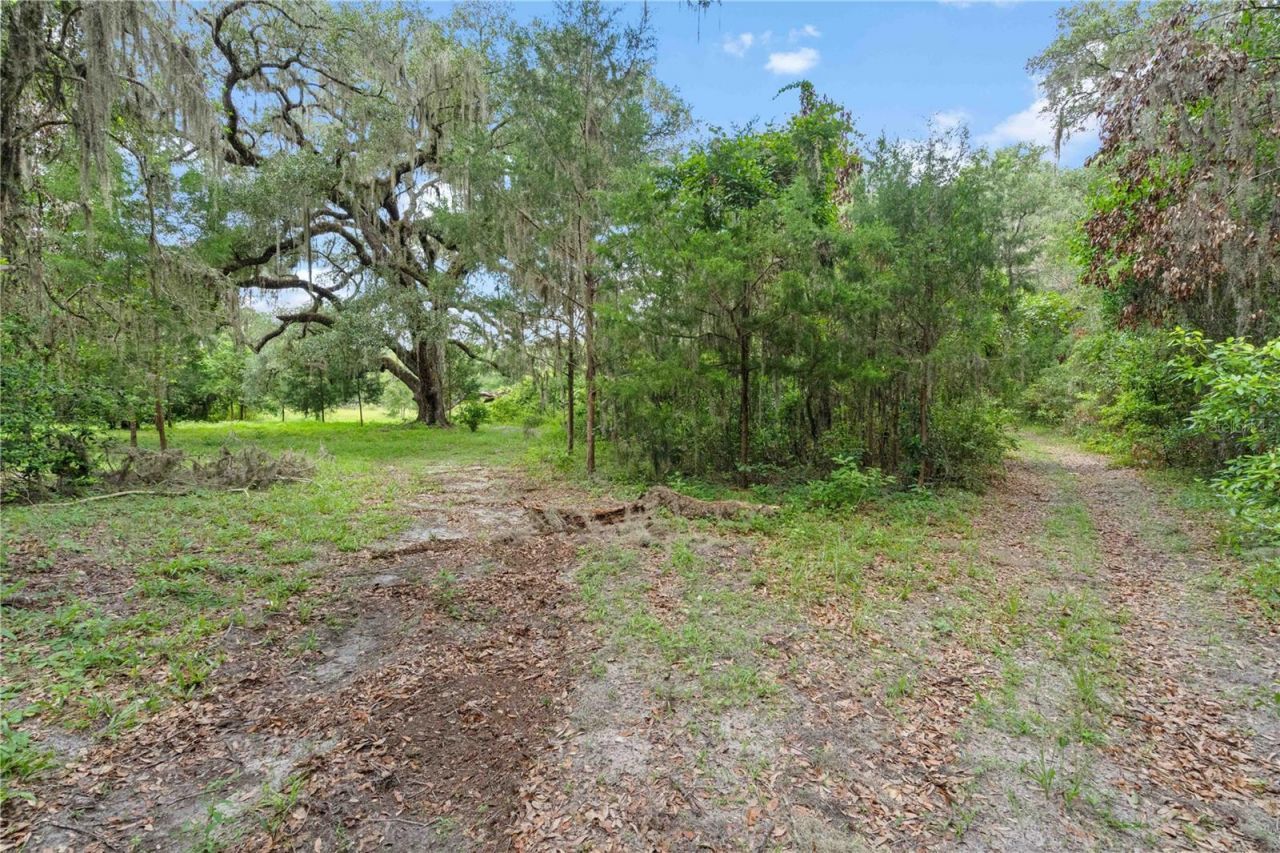 151 NE 164th Avenue, Williston, FL 32696 Photo