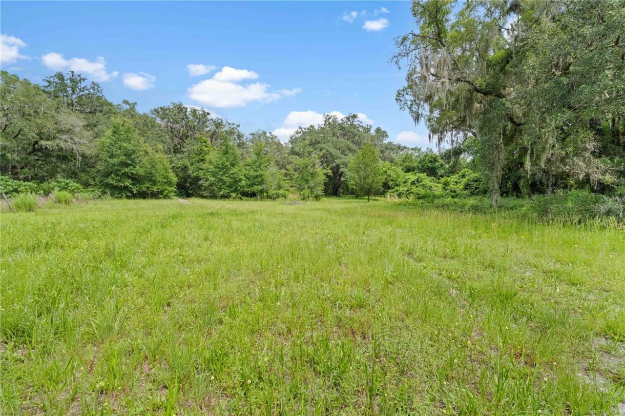 151 NE 164th Avenue, Williston, FL 32696 Photo