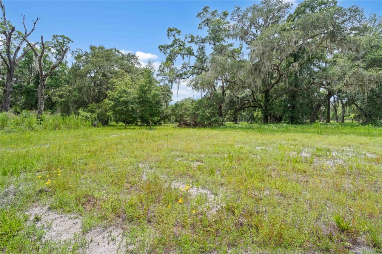 151 NE 164th Avenue, Williston, FL 32696 Photo