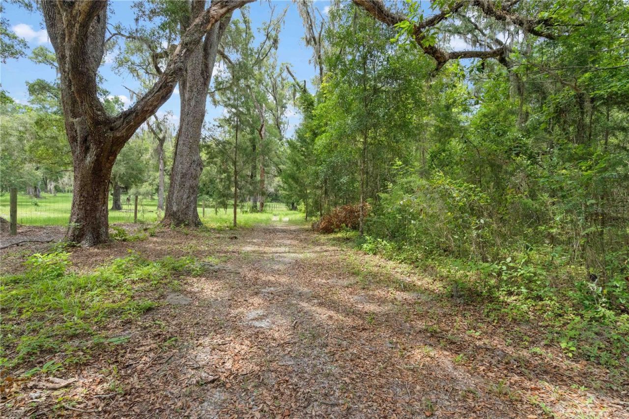 151 NE 164th Avenue, Williston, FL 32696 Photo