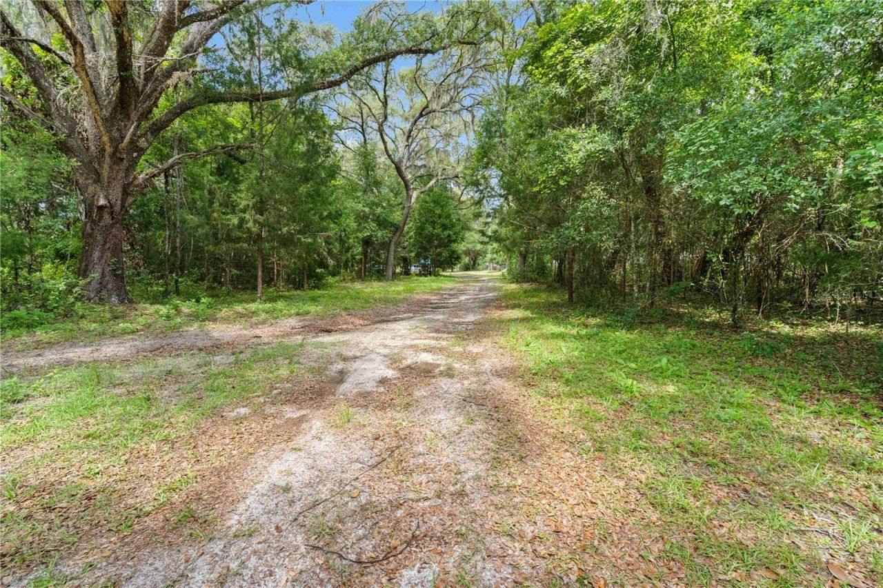 151 NE 164th Avenue, Williston, FL 32696 Photo